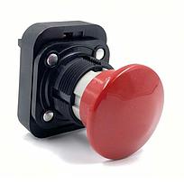 30mm Momentary Push Button 800H PB