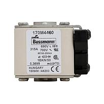 Fusible Semiconductor Tubo de Cerámica Europeo 315A 690V 1BKN/50 AR UC