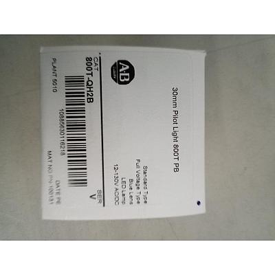 30mm Pilot Light 800T PB