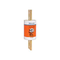 600V 250A CLASS J TD FUSE