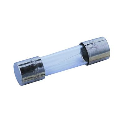 Fusible 5 X 20 mm Tubo de Vidrio Acción Rápida 125Vca