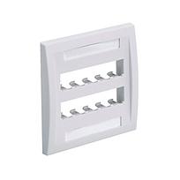 Faceplate, 10 Port, Double Gang, Executi