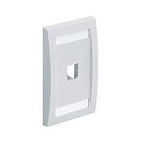 PANDUIT Mini-Com® Placa Frontal Vertical, 2 Salidas - CFPE2WHY