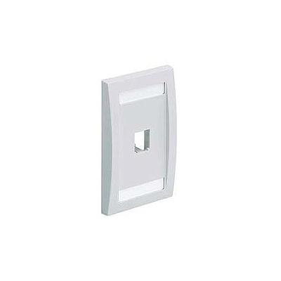 PANDUIT Mini-Com® Placa Frontal Vertical, 2 Salidas - CFPE2WHY
