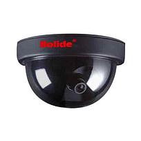 Indoor dome 1/3" DPS, 600 TV lines, 0.01 Lux, (coming soon)
