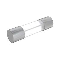 Fusible 5 X 20 mm Tubo de Vidrio Acción Lenta 250Vca