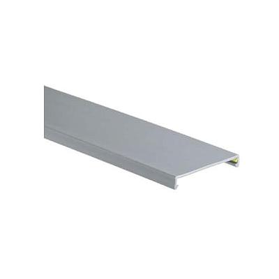 Cubierta para conducto de cableado Panduit Panduct, tipo C, 100 mm de ancho x 2 m de largo, PVC, gris RAL - C100IG2