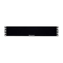PANDUIT Panel de relleno 2 RU - DPFP2