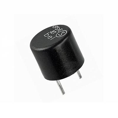 FUSIBLE 2 AMP, 250V