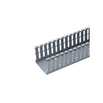 PANDUIT Conducto ranurado estrecho, PVC, .5 X .5 X 6 - F.5X.5LG6