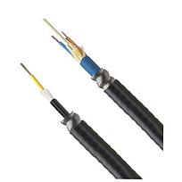 PANDUIT Cable central con armadura para interiores/exteriores de 12 fibras, OS2, monomodo, clasificado Riser - FSGR912Y