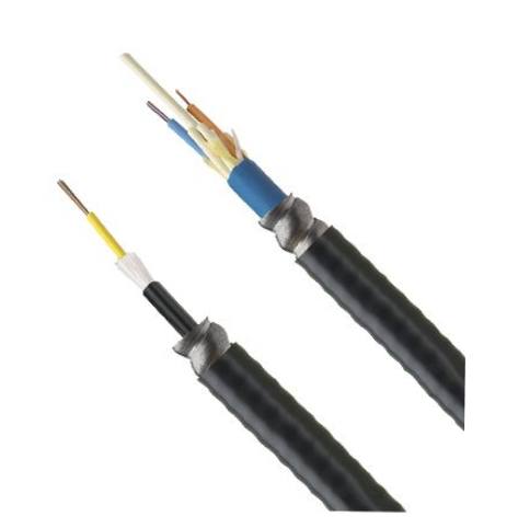 PANDUIT Cable central con armadura para interiores/exteriores de 12 fibras, OS2, monomodo, clasificado Riser - FSGR912Y