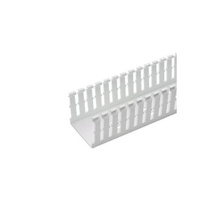 Narrow Slotted Duct, PVC, 3 X 2 X 6'