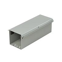 WW, 3R, Str. Section, Male