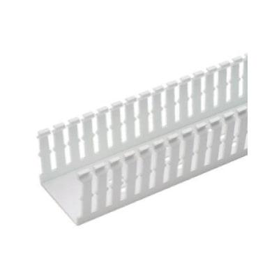 Narrow Slotted Duct, PVC, 4 X 2 X 6'