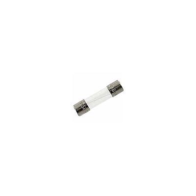Fusible 5 X 20Mm Tubo de Vidrio Acción Rápida 250Vca