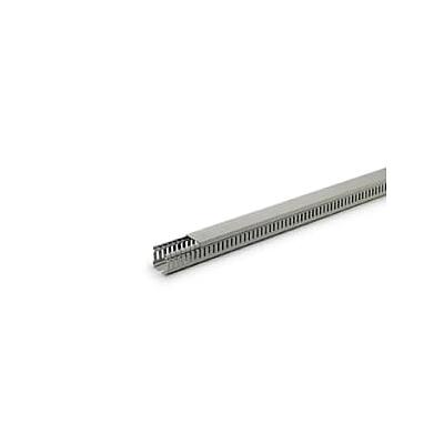 Wiring Duct with Vertical Slots 4/6, Length 2m, Width 25mm, Height 30mm, Plastic, Grey