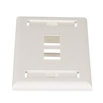 NETKEY Cara de montaje empotrado, de 2 puertos, una unidad - NK2FIWY