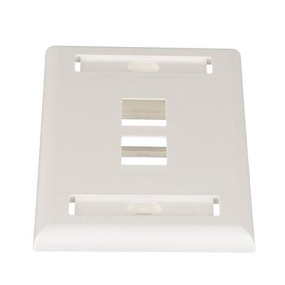 NETKEY Cara de montaje empotrado, de 2 puertos, una unidad - NK2FIWY