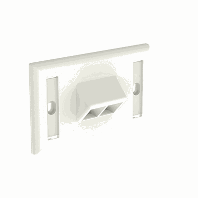 NETKEY Placa Frontal, 2 puertos, una unidad, horizontal inclinado - NK2HSFIWY