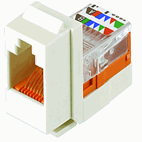 NETKEY Módulo de conector de bastidor de plomo Cat 5e - NK5E88MEIY