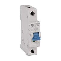 MCB Supplementary Protector 8 A