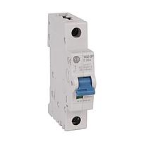 MCB Supplementary Protector, Rockwell Automation, 15A - 1492-SPM1D150