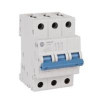 MCB Supplementary Protector 2 A