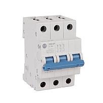 ROCKWELL AUTOMATION 1492-SPM, Disyuntor Suplementario, 3 polos, 10 Amps, Curva C - 1492SPM3C100