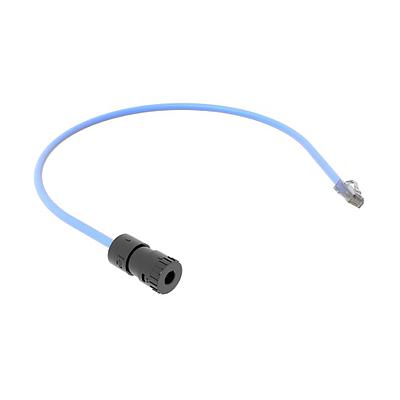 6A UTP Connector, Plenum RJ45 Cord, 0.5M, Blue