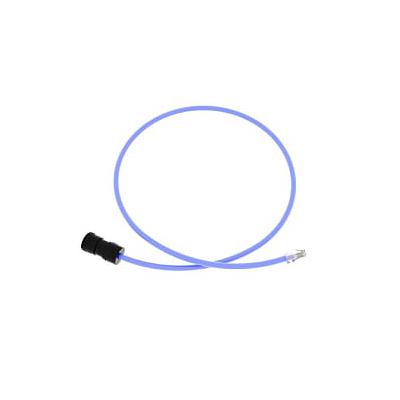 Indoor Connector Cord, 6A UTP Plenum RJ45 Cord, 1M, Blue