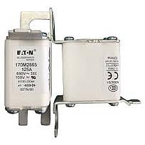 Fusible Semiconductor Tubo de Cerámica Europeo 125A 690V 00TN/80 AR UR