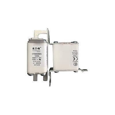 Fusible Semiconductor Tubo de Cerámica Europeo 125A 690V 00TN/80 AR UR