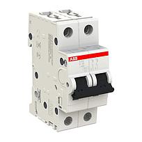 S202-C63 Interruptor automático - 2P - C - 63 A