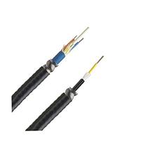 PANDUIT Cable Central con Armadura de 6 Fibras OM2, 50/125, Multimodo, Riser, 30cm, Negro - FSGR506Y