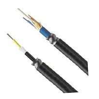 50um OM4 12 Fiber Indoor-Outdoor Armored