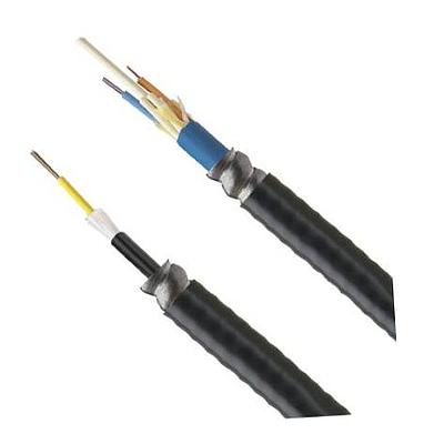 50um OM4 12 Fiber Indoor-Outdoor Armored