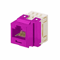 NETKEY Módulo de gato punchdown Cat 6, Violeta - NK688MVL