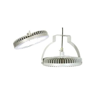 Luminaria LED High Bay DuroSite – 124 W, 8500 lm, 100-277 V CA, luz blanca fría – Dialight - HB4C4L