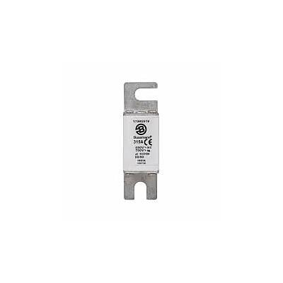Fusible Semiconductor Tubo de Ceramica Europeo 315A 690V 00/80 AR UR