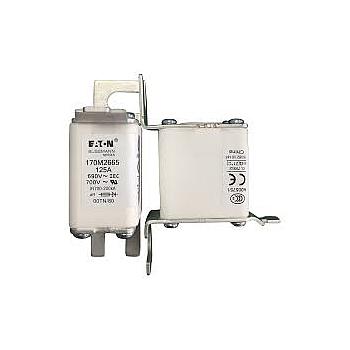 Fusible Semiconductor Tubo de Cerámica Europeo 125A 690V 00TN/80 AR UR